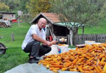 Ljekovito mlijeko s Jurićeve farme ide i u Švicarsku: Litar magarećeg mlijeka 100 KM