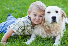 ISTRAŽIVANJE: Psi smanjuju rizik od astme kod djece