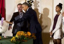 Danas je Dan zahvalnosti, Obama pomilovao purice Honest i Abe