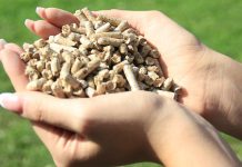 Koja je filozofija grijanja na biomasu pelet? BiH ima svoje predstavnike u proizvodnji peleta na evropskom tržištu
