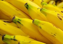 Hoćemo li uskoro ostati bez banana?