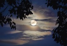 Puni mjesec nakon 38 godina