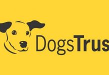 Dogs Trust počinje godišnju kampanju sterilizacije i otvara centar za obuku pasa