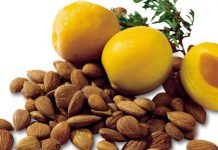 B17 vitamin odličan je borac protiv raka!