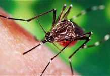 Obama traži od Kongresa 1,9 milijardi za borbu protiv zike