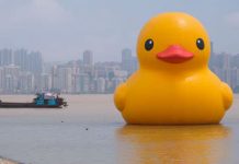 Koja je poruka gigantske gumene patke koja plovi svijetom