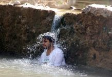 Australija: Zbog toplotnog vala uginula skoro trećina letećih lisica, vrste šišmiša