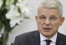 Džaferović: Povezivanje rješavanja odnosa Srbije i Kosova sa BiH je štetno i opasno