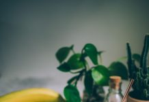 Smoothie za zdrav početak dana