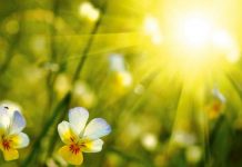 U BiH narednih dana sunčano i toplo, u petak moguće padavine