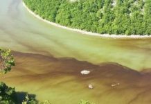 Velika mrlja na Vrbasu, ekološka katastrofa na pomolu?