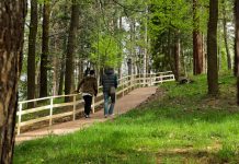 Sarajlije dobile novo izletište Park šume na Grdonju