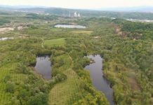 Mještani Tuzle i Lukavca u strahu: Park prirode ili šljačište i karcinom?