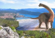 Kod Neuma otkriveni tragovi dinosarusa?