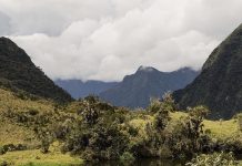 U devet mjeseci uništeno 2.000 kilometara kvadratnih šume Amazona