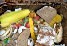 Tone hrane dnevno u BiH završe u kontejnerima, zastupnici obećali da će razmisliti o tome