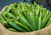 Evo zašto bi bamija trebala biti na vašem meniju