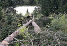 U toku pripremni radovi za izgradnju gondole na Jahorini