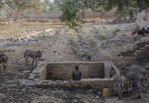 UN: Više od dva miliona Somalijaca moglo bi umrijeti od gladi