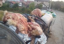 KULOVAC: Neadekvatno odložen životinjski otpad za vrijeme Kurban Bajrama problem u Općini Novi Grad i šire