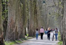 BiH: Sunčano i natprosječno toplo i naredne sedmice