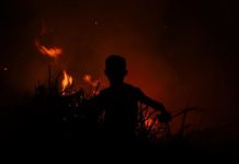 U požaru na Filipinima uništeno 200 kuća