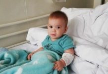 Ovaj mali Slavonac hitno treba donora, pomozimo mu da ozdravi