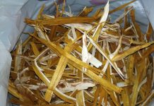 Rujevina – biljka koja zaista liječi!