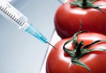 KONAČNO:Spisak proizvođača, koji koriste GMO u proizvodnji hrane
