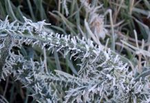Decembarski minusi: Hladno jutro stiže u Bosnu i Hercegovinu