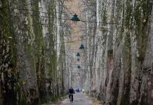 I danas temperatura do 18 stepeni, kiša u večernjim satima