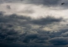 Danas će u Bosni i Hercegovini prije podne preovladavati umjereno do pretežno oblačno vrijeme