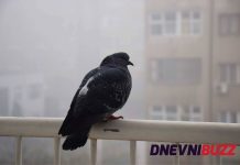 Važno upozorenje: Pogledajte zastrašujuće statistike kvalitete zraka u Sarajevu