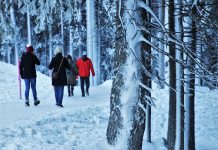 Šetnja po zimi je smrt za depresiju i višak kilograma