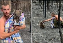 Australija čeka spas, najavili obilne pljuskove
