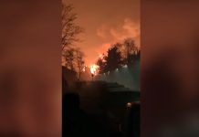 U požaru u njemačkom zoološkom vrtu izgorjele životinje