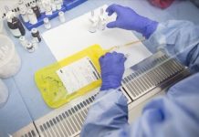 Značajno otkriće: Istraživači na putu da nađu univerzalni lijek za sve vrste raka