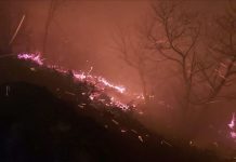 Požari u Australiji: Broj poginulih porastao na 23 osobe, angažovano 3.000 vojnika