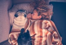 Zimski san – pobijedite ga boravkom na dnevnoj svjetlosti