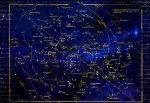 Otkrijte svoj znak po keltskom horoskopu i prepoznajte svoje osobine