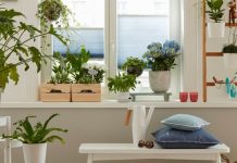 2EE8C92E-DDFF-4911-902E-E2E4D16DE8C9