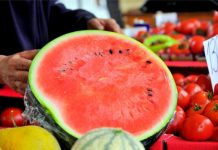 Jeste se ikada zapitali zašto je paradajz voće, a lubenica povrće?