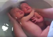 (VIDEO) Čvrst zagljaj novorođenih blizanaca najljepše je što ćete danas vidjeti