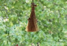 EBF2B42C-6113-4B12-A861-2C33B6492DFD