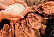 Šef programa za hranu: Svijetu prijeti glad, potrebno hitno djelovati kako bi se izbjegla katastrofa