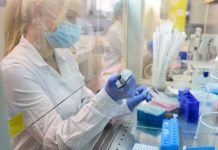 Znanstvenici s Oxforda: Blizu smo cjepiva protiv korone, testirani majmuni ozdravili