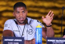 Hrvatska bi mogla biti domaćin borbe za teškaškog prvaka svijeta u boksu