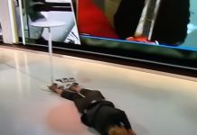 Švedska novinarka onesvijestila se tokom intervjua uživo, pogledajte taj trenutak