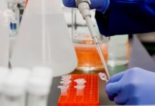 Posljednja 24 sata: U FBiH još 98 pacijenata pozitivnih na koronavirus, jedan smrtni slučaj