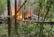 U padu manjeg aviona poginula petočlana porodica